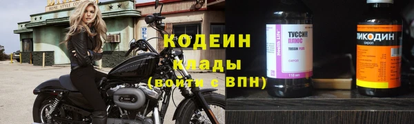 амф Арсеньев