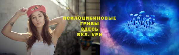 амф Арсеньев