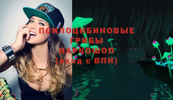 амф Арсеньев